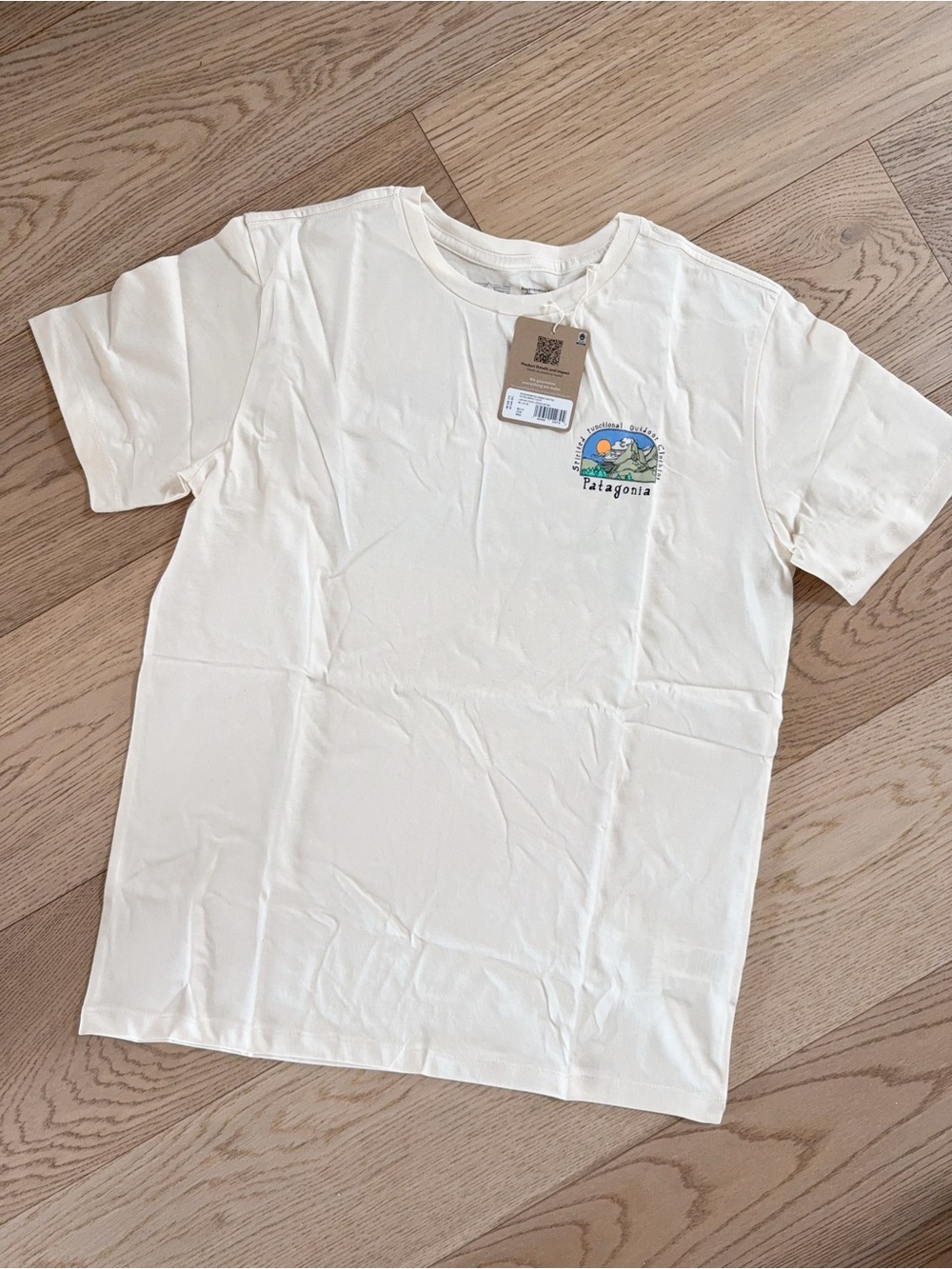 NWT 62174 kids Patagonia graphic tshirt XXL 16-18